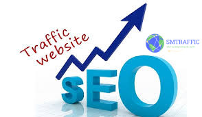 tang traffic website